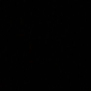 Meet your Posher, Kurtisey